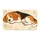 Sleeping Beagle Dog for Cozy Home Comfort and Cheerful Pet Lover Living Spaces Everyday Doormat - 6