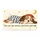 Sleepy Puppy in Striped Pajamas for Cozy Bedtime Routines and Dog Lover Homes Doormat - 6