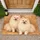 Two Cream Pomeranian Dogs for Cozy Pet-Loving Homes and Holiday Gifting All Year Doormat - 1