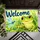 Green Frog and Blue Dragonfly Welcome Scene for Cheerful Nature-Loving Home Decor Doormat - 5