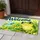 Green Frog and Blue Dragonfly Welcome Scene for Cheerful Nature-Loving Home Decor Doormat - 4