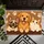 Cute Dog And Cat Companions For Pet-Loving Homes And Cozy Everyday Entryway Decor Doormat - 5