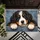 Bernese Mountain Dog Puppy Portrait for Cozy Entryway Decor and Mountain Dog Lovers Doormat - 5