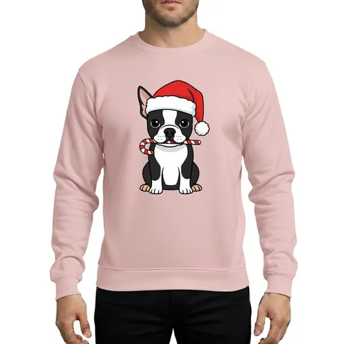 Kids' Whimsical Black White Boston Terrier Puppy Red Santa Hat Striped Candy Cane Christmas Art Sweatshirt