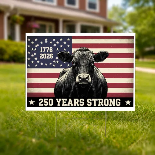 Black Angus Cow Distressed American Flag 1776-2026 - USA 250 Years Strong Patriotic Yard Sign