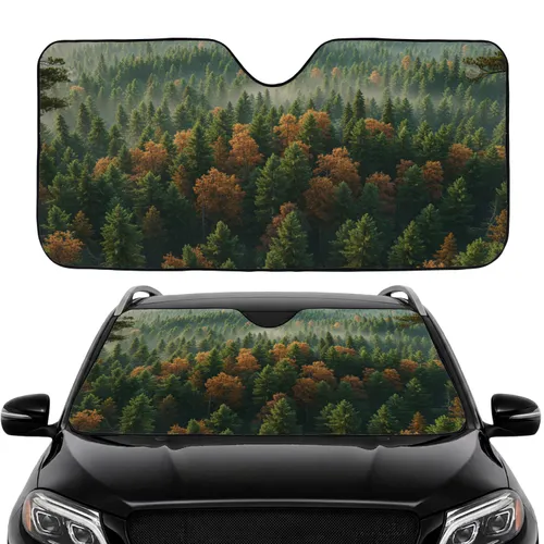 Dense Pine Evergreen Forest Canopy Autumn Rust Golden Foliage Nature Lover Gift Car Sunshade