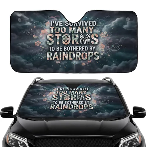 Resilience Quote Storm Clouds Floral Zebra Light Rays - Empowerment Gift Car Sunshade