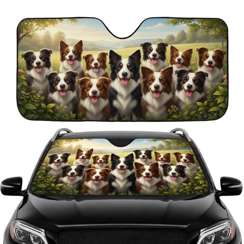 Joyful Border Collies Sunlit Field Rolling Hills - Dog Lover Pet Owner Gift Car Sunshade