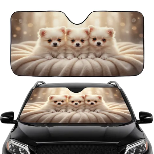 Four Adorable Pomeranian Puppies Nestled Warm Sunlight Cozy Car Decor Gift Car Sunshade
