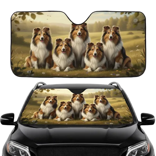 Five Shetland Sheepdogs Smiling - Road Trip Gift for Shetland Sheepdog Lover Car Sunshade