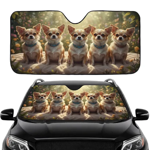 Six Curious Chihuahuas Sun-Kissed Floral Garden - Dog Lover Gift Car Sunshade