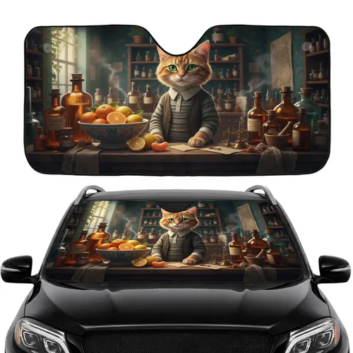 Ginger Tabby Cat Alchemist Apothecary Elixir Shop - Road Trip Gift Car Sunshade
