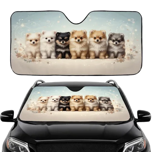 Fluffy Pomeranian Puppies Glowing Mist Floral - Road Trip Gift for Dog Lovers Car Sunshade