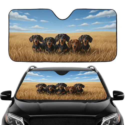 Dachshunds Golden Wheat Field Sky - Road Trip Gift for Dog Lovers Car Sunshade