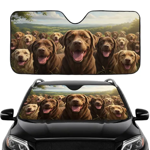 Chocolate Labrador Retrievers Green Hills Landscape - Car Interior Upgrade Dog Lovers Car Sunshade
