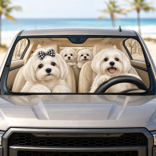 Four Fluffy White Maltese Puppies In Cozy Beige Cabin For Dog Lovers Road Trips Gift Car Sunshade