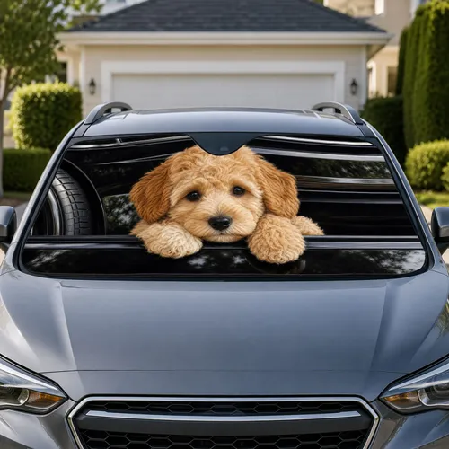 Apricot Teddy Puppy On Black Reflective Panels For Cute Pet Lover Road Trips Long Drives Car Sunshade