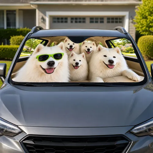 Smiling Samoyed Dogs With Lime Sunglasses for Summer Road Trips and Pet Families Car Sunshade